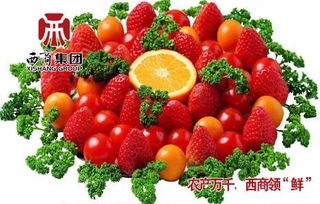 西商之声 2017年12月26日