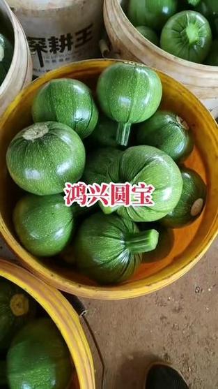 抖音助农 新农人计划如何重塑优质农产品的源头力量